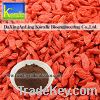 Sell Wolfberry Color(Wolfberry Extract)