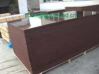 film faced plywood offer(soan AT tjplywood DOT cn)