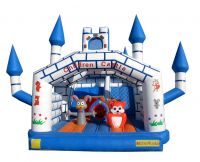 Sell jumping castle, bouncers