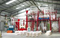 Sell flour machine, roller mill, flour mill