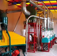 Sell maize processing line, wheat flour mill equipment, flour machine