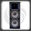 Sell professional speaker(R-215M)