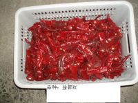 Sell Frozen Red Pepper