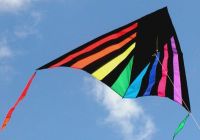 Sell RADIAN DELTA kite