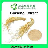Hot sales Ginsenosides/Ginseng extract/Male enhance/Energy enhance
