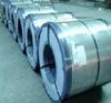 Sell galvanized steel