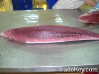 frozen mackerel, frozen sardine fish, Tuna Loin HGT