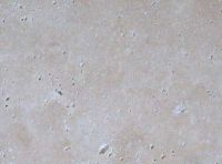 Travertine and Marble