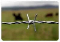 Sell Traditional Twisted Barbed Wire