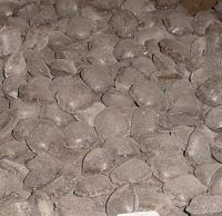 BROWN COAL BRIQUETTES DIRECTLY FROM MANUFACTURER