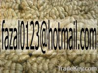 Sell Raw Jute