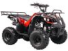 ATV-3050D(EPA 110cc ATV)