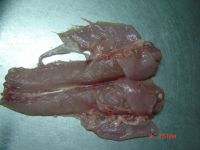 Sell frozen rabbit back meat