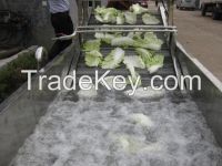 Vegetable wasing machine, vegetable washer, vegetable drying machine, food processing machine