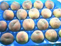 Sell Fresh Peach