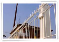 Sell Wire Mesh fence