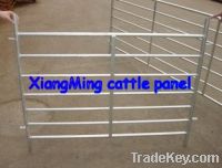cattle panel - hot sale