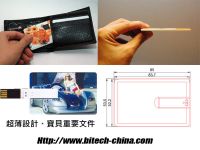 Name card usb flash memory, Name card usb flash memory disk diver, china