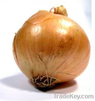 Sell yellow onion
