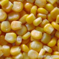 Sell yellow corn