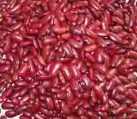 Dark red kidney bean