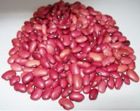 Sell Red kidney beans