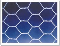 Sell hexagonal wire netting, galvanized square wire mesh