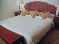 elegance and fashionable hotel bedding set