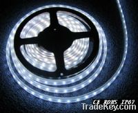 hot sell IP68 LED Strip lamp with SMD3528-600Leds per reel