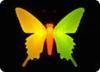 Sell top beautiful butterfly night light