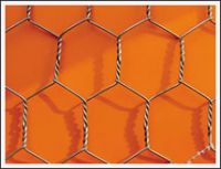 Hexagonal wire mesh