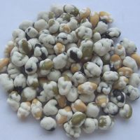 Sell Wasabi flaovr coated three beans mix