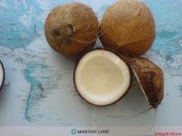 COCONUTS fully mature