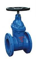 Sell gate valve