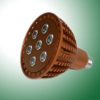 LED PAR30 Spot Light