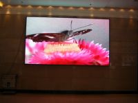 Sell indoor full color led display