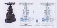 Sell Globe Valve