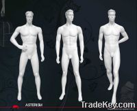 Sell male mannequin with sculpture head (A-029)