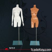 Sell Torso mannequin(D-019)