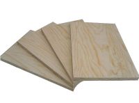 supply plain and melamine plywood