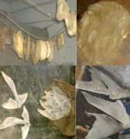 Sell Dried Fish Maws