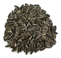 Chinses sunflower seeds for Egypt