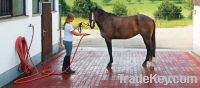 Sell Horse road rubber paver