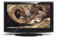 sell 42 inch LCD TV LT-4298