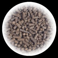 Sugarcane Bagasse pellet