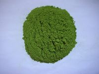 Sell dried spinach powder