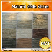 Sell Natural wall culture slate