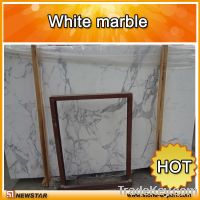 Sell calacatta white marble