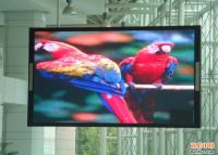 Sell indoor full colour led display