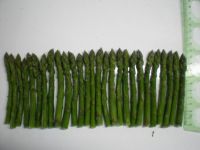 Sell 17cm, 15cm frozen asparagus